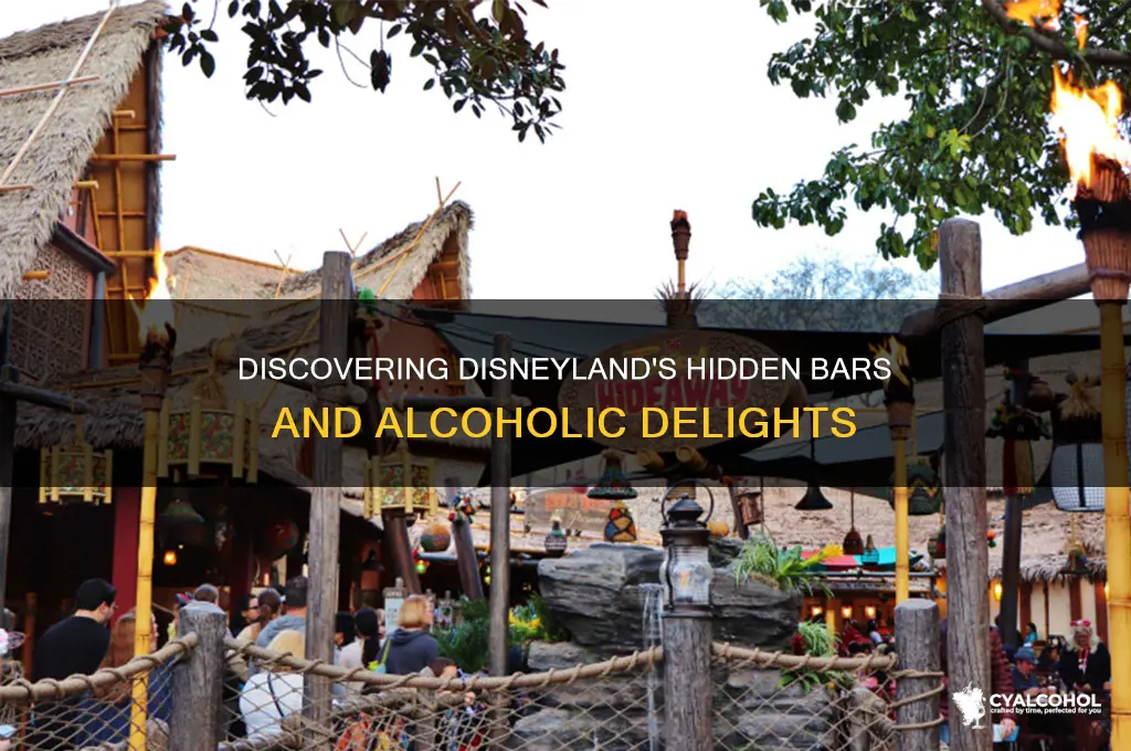where is there alcohol in disneyland
