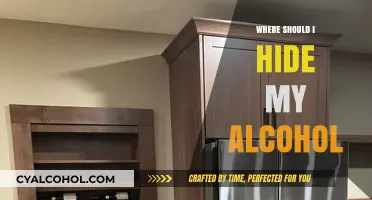 Creative Alcohol Hiding Spots: Secret Storage Ideas for Your Drinks
