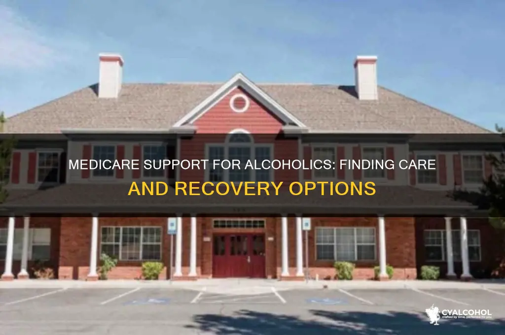 where there is care for alcoholics with mèdicare