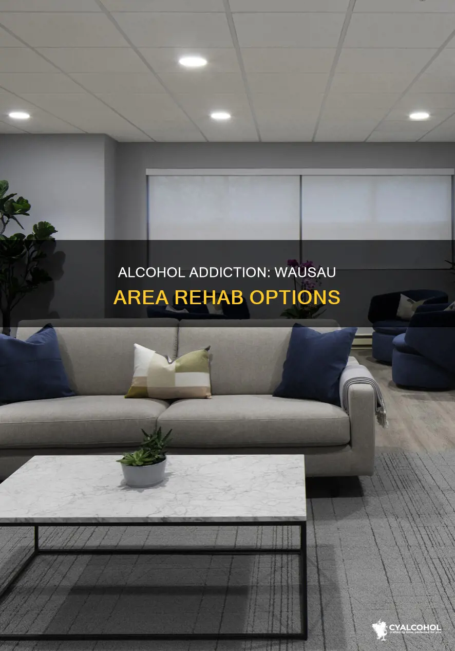 where to commit someone in wausau area for alcohol