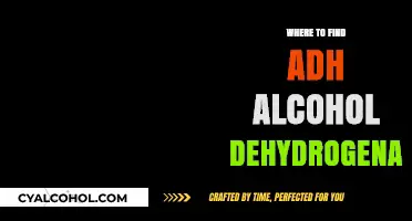 Discovering ADH Alcohol Dehydrogenase: Top Sources and Locations