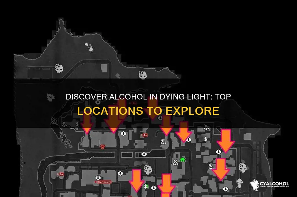 where to find alcohol dying light