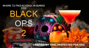 Buried Alcohol: Uncover the Secret in Black Ops 2
