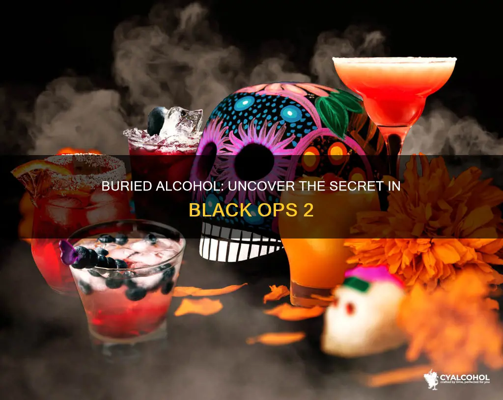 where to find alcohol in buried cod black ops 2