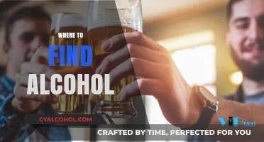 Discovering Local Bars, Liquor Stores, and Hidden Gems for Alcohol