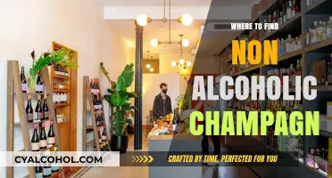 Discover the Best Places to Find Non-Alcoholic Champagne Today