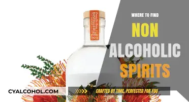 Discover Top Spots for Non-Alcoholic Spirits: Your Ultimate Guide