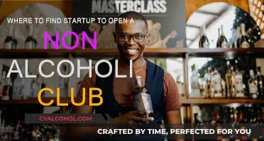Non-Alcoholic Club Startups: Where to Find Investors