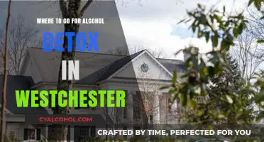 Best Alcohol Detox Centers in Westchester: Your Recovery Guide