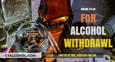 Finding Safe and Supportive Places for Alcohol Withdrawal Recovery