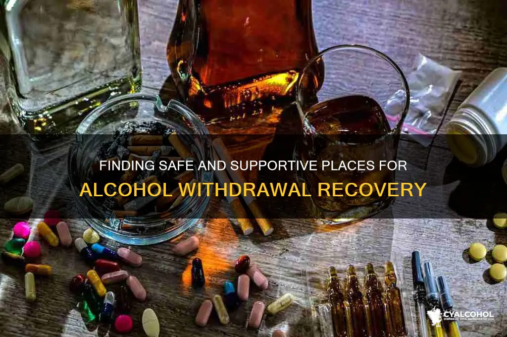 where to go for alcohol withdrawl