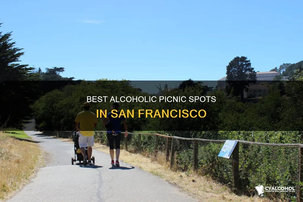 where to have a picnic with alcohol in san francisco