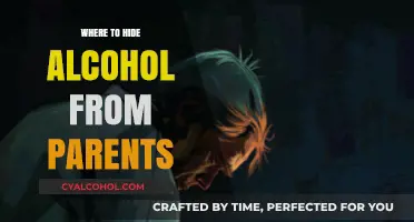 Secret Spots: Clever Places to Hide Alcohol from Parents