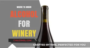 Top Wineries Offering Online Alcohol Orders: A Guide for Wine Lovers