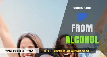 Safe Spaces to Sober Up: Finding Support and Recovery from Alcohol