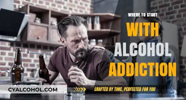 Understanding Alcohol Addiction: A Beginner's Guide to Recovery and Support