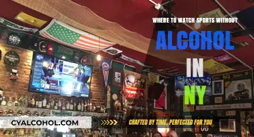 Sober Sports Viewing: Alcohol-Free Spots to Watch Games in NYC