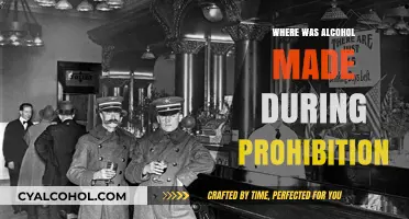 Speakeasies and Secret Stills: Where Alcohol Flowed During Prohibition