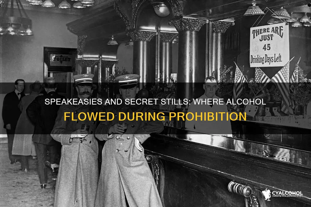 where was alcohol made during prohibition