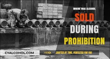 Speakeasies, Pharmacies, and Bootleggers: Where Alcohol Flowed During Prohibition