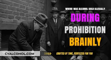 Speakeasies and Bootleggers: Where Alcohol Flowed Illegally During Prohibition