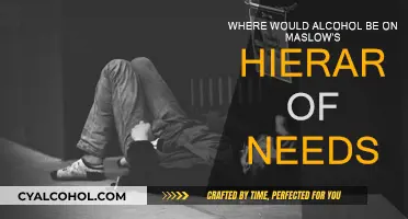 Maslow's Hierarchy: Alcohol's Place in the Pyramid