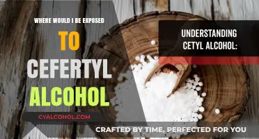 Unexpected Places You Might Encounter Ceteryl Alcohol in Daily Life