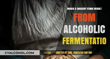 Alcoholic Fermentation: Unveiling Surprising Grocery Staples from the Process