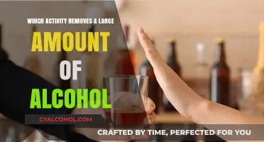 Effective Activities to Rapidly Eliminate Alcohol from Your System