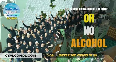 Sober Sailing: Alaska Cruises with Minimal or No Alcohol Options