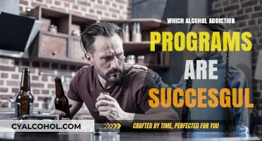 Effective Alcohol Addiction Programs: Proven Strategies for Lasting Recovery