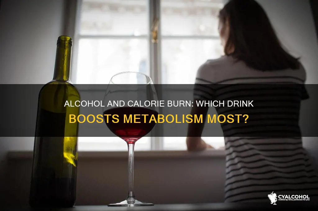 which alcohol burns the most calories