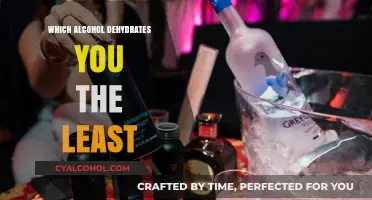 Hydration-Friendly Drinks: Which Alcohol Minimizes Dehydration Best?