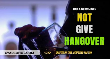 Discover Hangover-Free Alcohol Options: Best Drinks to Enjoy Without Regret