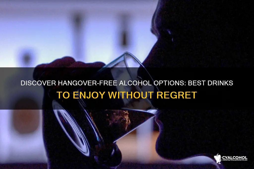 which alcohol does not give hangover