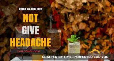 Say Goodbye to Hangovers: Alcohols That Won’t Cause Headaches