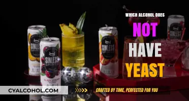 Yeast-Free Alcohol Options: Discover Drinks Without Fermentation