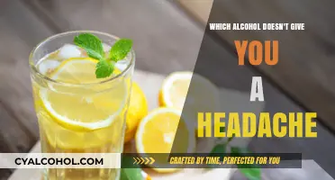 Headache-Free Happy Hour: Alcohols That Won't Leave You Regretting