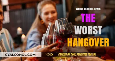 The Morning After: Which Alcohol Causes the Worst Hangover?