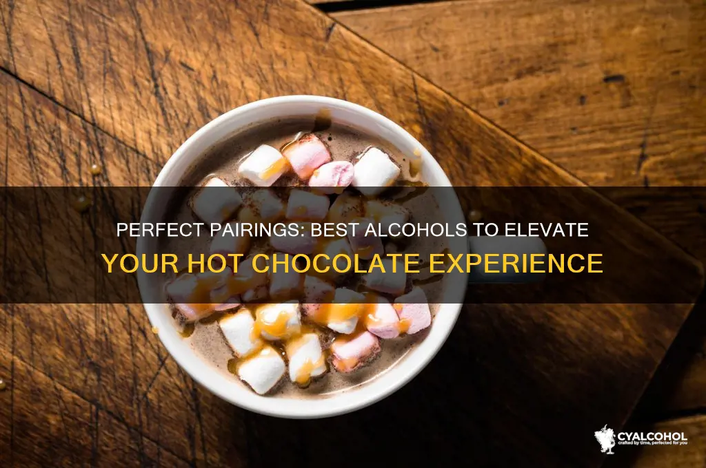 which alcohol goes with hot chocolate