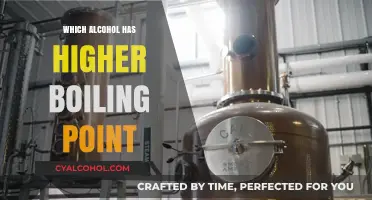 Comparing Alcohol Boiling Points: Which One Stays Hotter Longer?