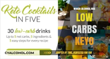 Low-Carb Keto Alcohol Guide: Best Drinks for Your Diet