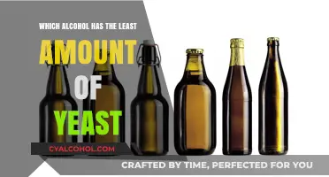 Low-Yeast Alcohol Options: Discover Drinks with Minimal Yeast Content
