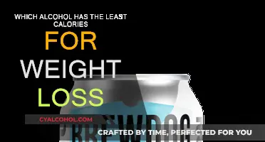 Best Low-Cal Alcoholic Drinks for Weight Loss