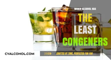 Low-Congener Alcohol Options: Discover the Purest Spirits for a Better Morning