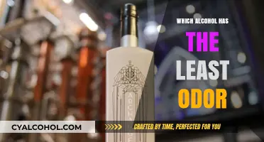 Discover the Least Smelly Alcohol Options for Discreet Enjoyment