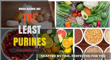 Low-Purine Alcohol Options: Best Drinks for Gout-Friendly Enjoyment