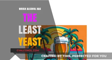 Low-Yeast Alcohol Options: Discover Drinks with Minimal Yeast Content