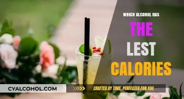 Low-Calorie Alcohol Guide: Discover the Lightest Drink Options