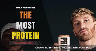 Protein in Alcohol: Which Drink Offers the Highest Content?
